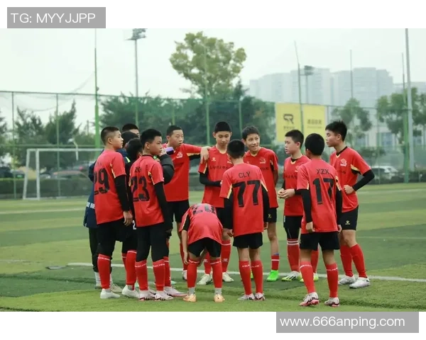 足球憨憨的奇妙旅程从菜鸟到球场明星的成长故事