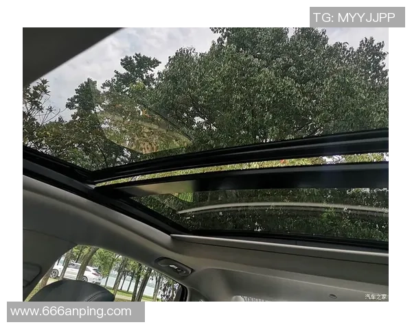 武汉滑板队实力解析:各队员技术特点与团队协作的深度对比分析