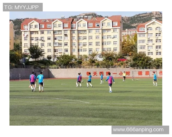 足球工作汇报及未来发展规划分析与建议总结